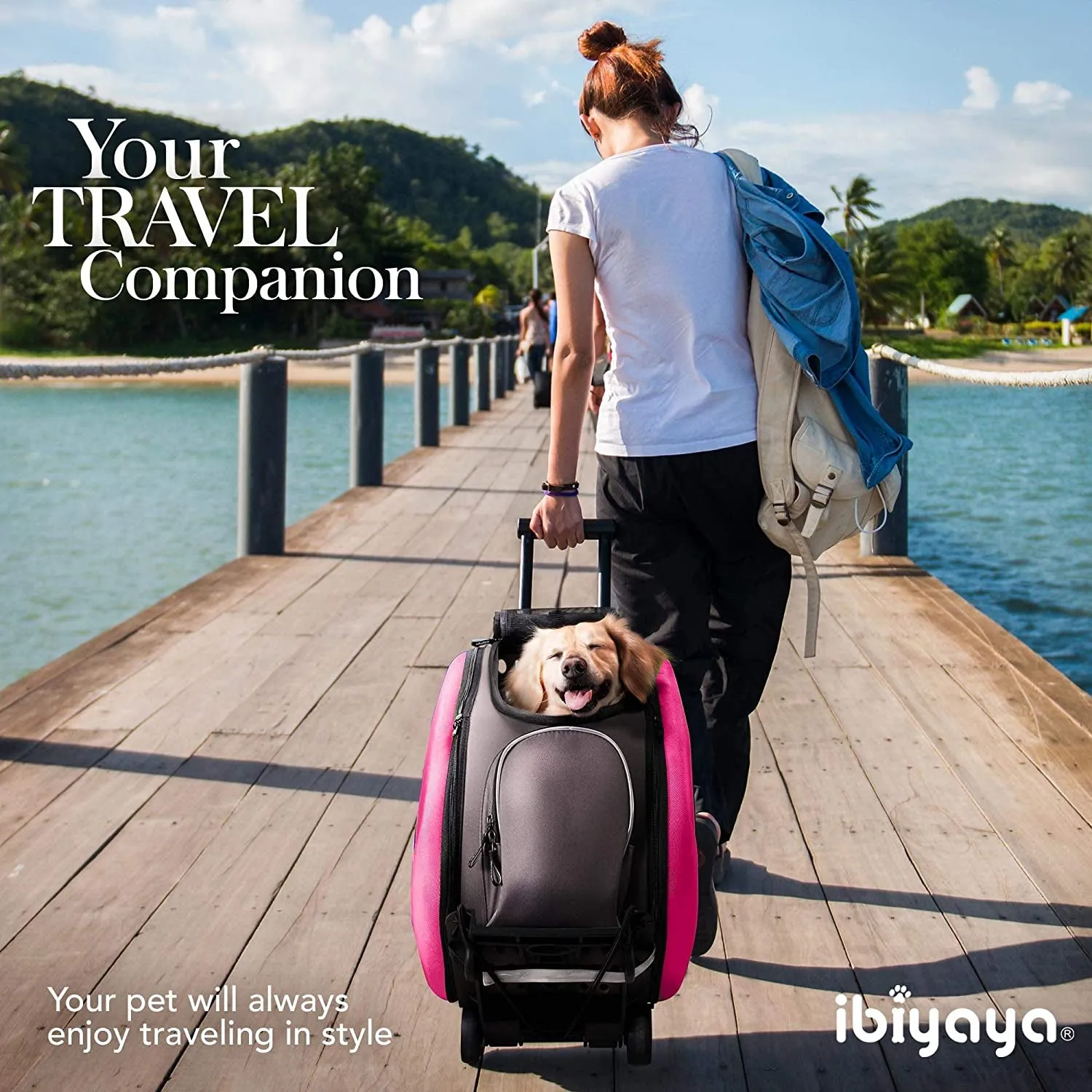 Compact 5-In-1 Convertible and Foldable Pet Carrier and Stroller