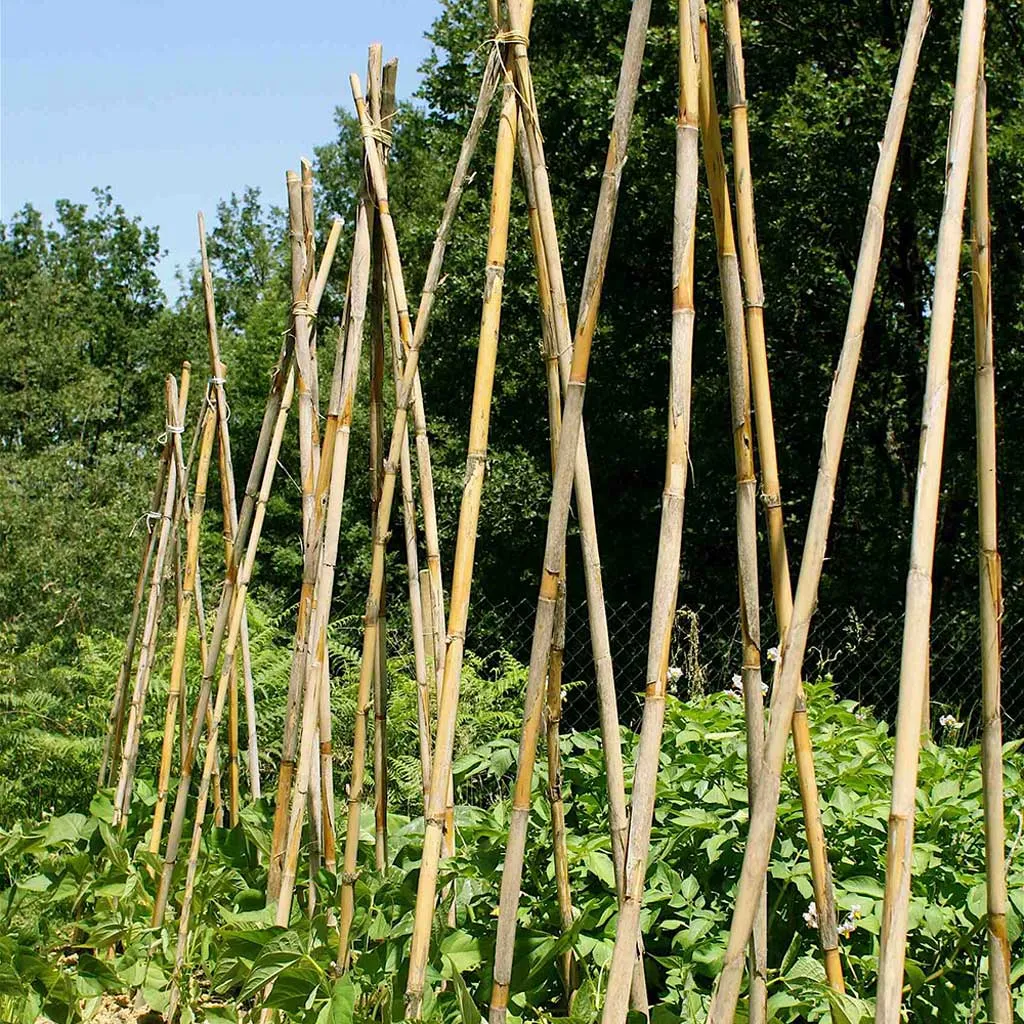 Heavy Duty Bamboo Garden Canes