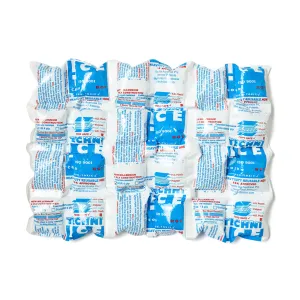 Ice Pack Sheet Heavy Duty (24 x 10) 10801024