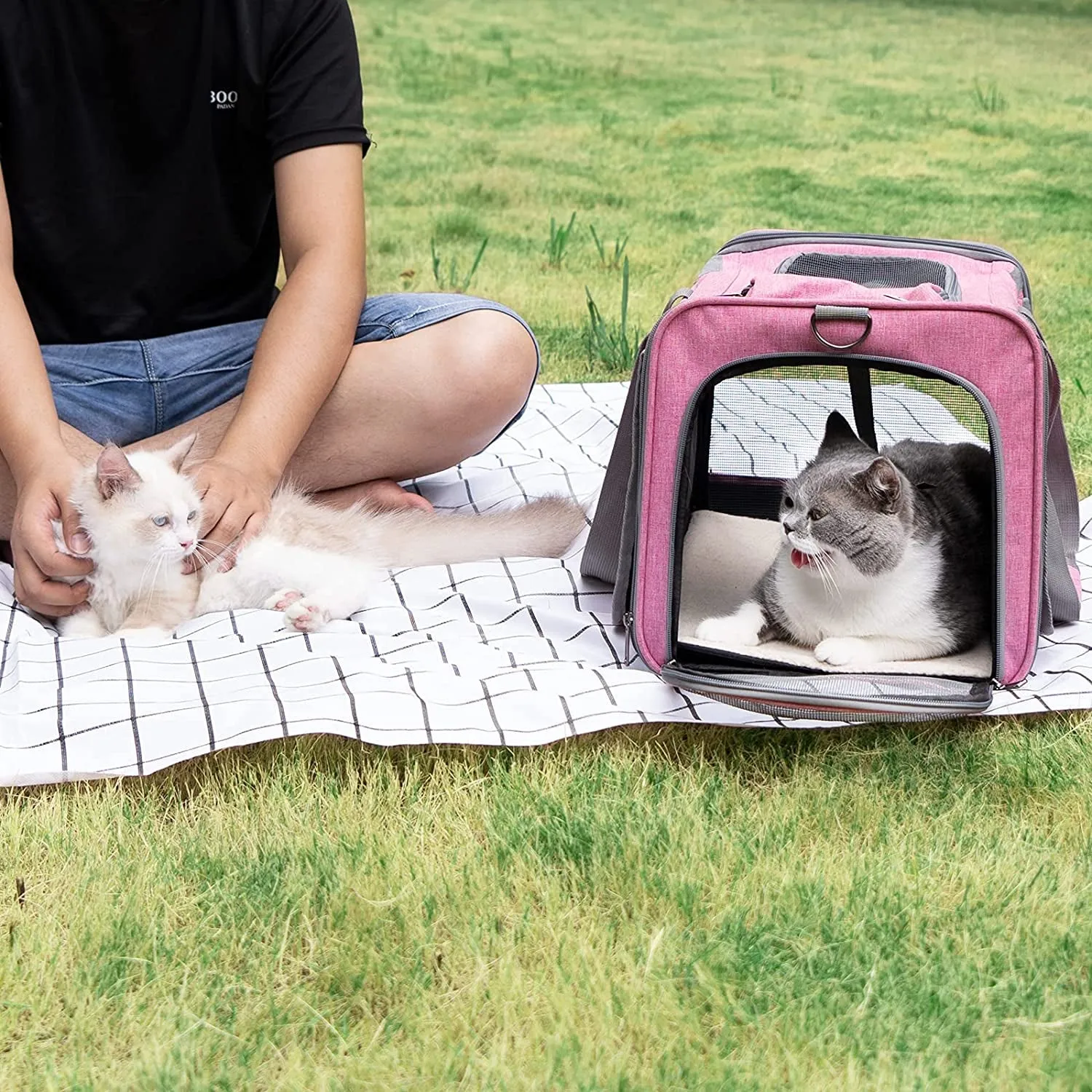 Pet Privacy Protection Travel Carrier